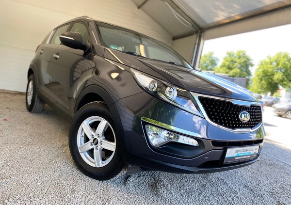 Kia Sportage cena 54900 przebieg: 92000, rok produkcji 2015 z Żagań małe 529